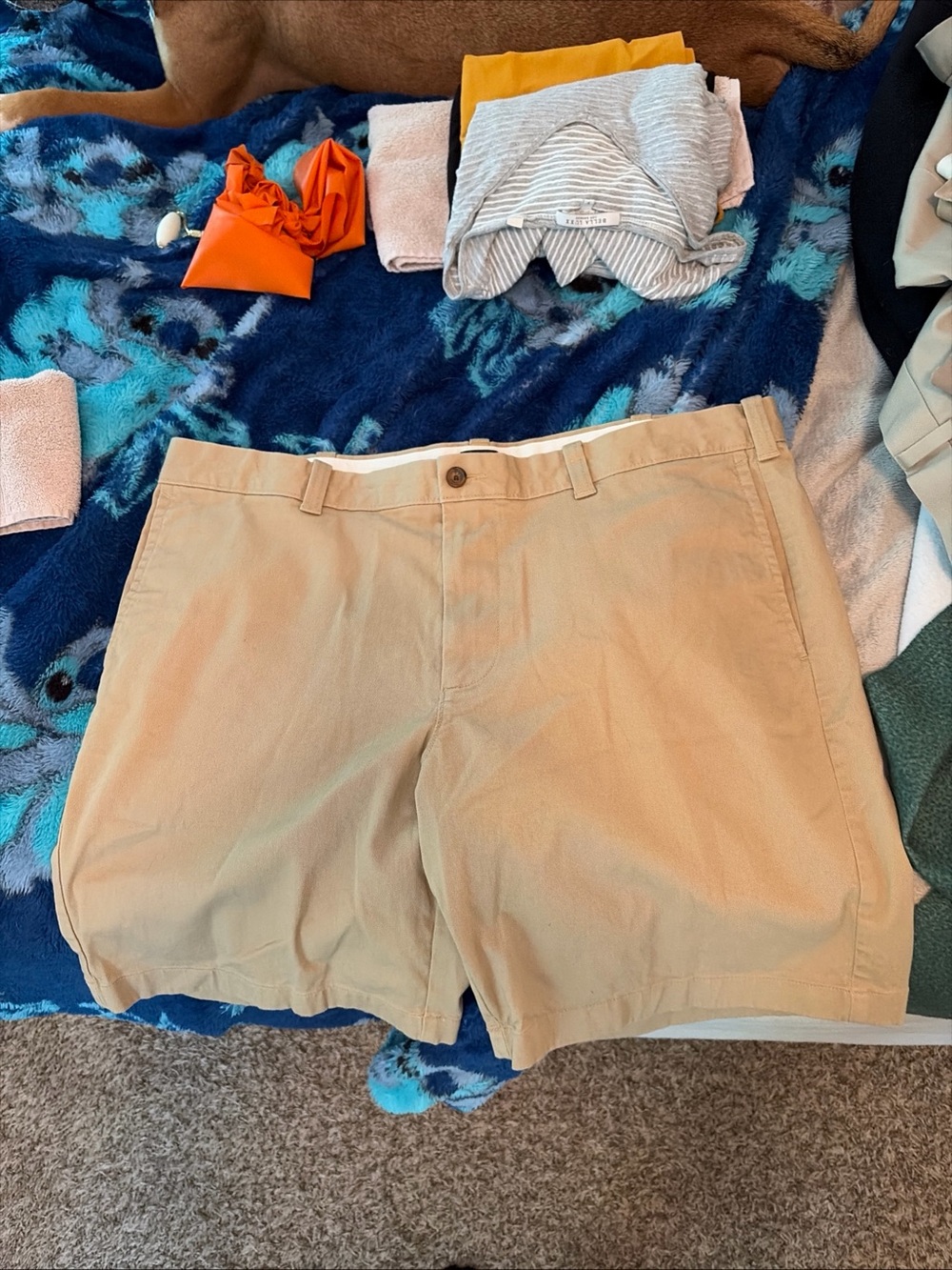 J. Crew Men's Flat Front Shorts in Khaki